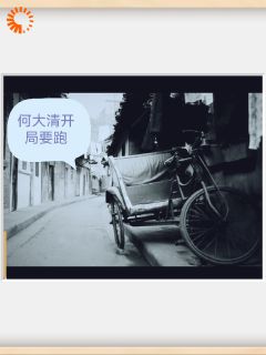 《四合院之开局何大清要跑》完结版在线阅读 《四合院之开局何大清要跑》最新章节目录