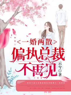 《一婚两散：偏执总裁不再见》姜知钰陆箫宁章节目录精彩试读