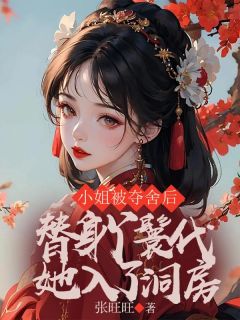 《小姐被夺舍后，替身丫鬟代她入了洞房》小说全文免费试读 阿云霍悉彦小说全文