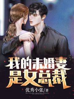 主角是叶天林雨儿的小说 《我的未婚妻是女总裁》 全文免费阅读