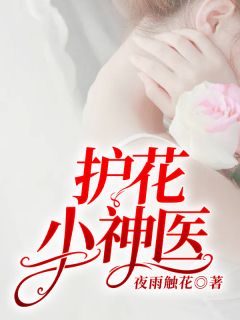 《护花小神医》小说章节目录在线试读 李峰赵雅小说全文