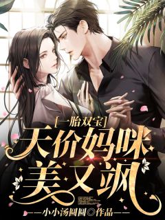 《一胎双宝：天价妈咪美又飒》全文及大结局精彩试读 叶染陆天宇小说