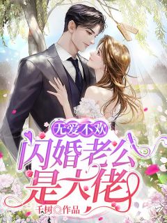 《无爱不欢：闪婚老公是大佬》小说全文免费阅读 颜书顾羽城小说全文