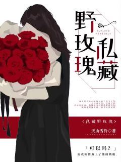 《私藏野玫瑰》小说章节目录免费阅读 宋北章小微小说阅读