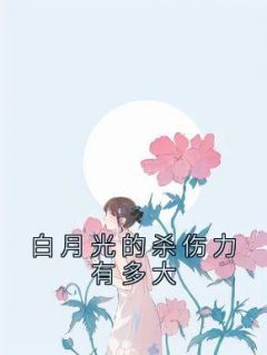 《白月光的杀伤力有多大》小说全文免费阅读 云璟曲诗小说阅读