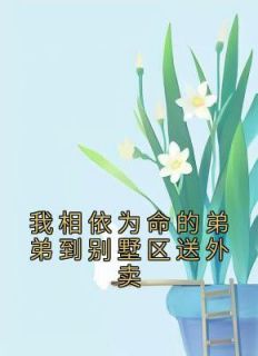 《我相依为命的弟弟到别墅区送外卖》全集免费在线阅读（陈盎然简白）