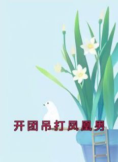 《开团吊打凤凰男》小说章节目录免费阅读 许安林晓小说全文