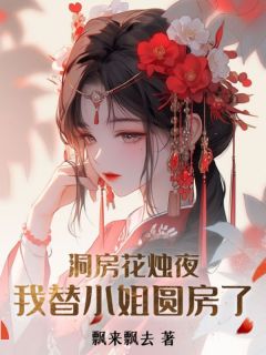 《洞房花烛夜，我替小姐圆房了》小说大结局精彩阅读 游小浮褚时烨小说阅读