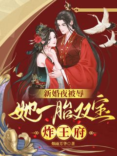 《新婚夜被辱，她一胎双宝炸王府》小说全文在线阅读 慕云澜楚寒霄小说阅读