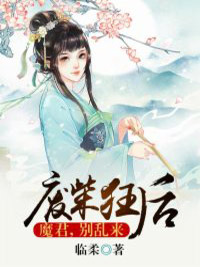 《废柴狂后：魔君，别乱来》小说章节免费试读 月无痕赫连皓小说阅读