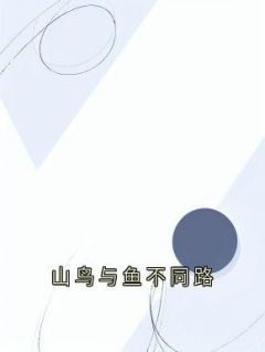 《山鸟与鱼不同路》完整版在线阅读（主角秦枝枝孟辞西）