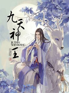 九天神王之唯我独尊全文免费阅读(张天栋孙晓莹) 完结版